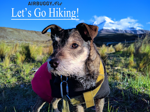 Let's Go Hiking!
